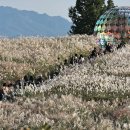 물결속으로 이미지