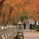 잠실근린공원(외) 이미지