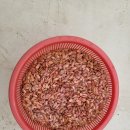 해와달농장 이미지