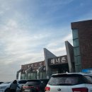 중섭목장 | 떠나요~ 제주도~🏝