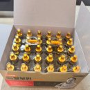 대웅흑염소 | 오한진 알부민 실제 효과부터 복용법 효능 총정리