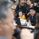 개단장 이미지