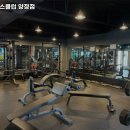 웰핏헬스클럽 이미지