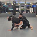 크로스핏 알파 이미지