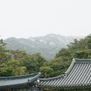 품마을행정사합동사무소 이미지
