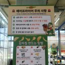 보틀그린 | 안산 대부도 그린티플, 여름 감자캐기 체험 & 보틀케이크 만들기 체험 후기