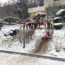 시골학교 소개 - 거산초등학교 이미지