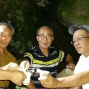 참배농장 이미지