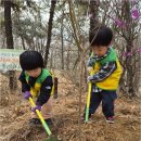 자연유치원 | 아이의 사회성과 창의성을 키우는 인천유아교육의 살아있는 예술