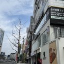 프리테라 이미지