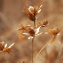 마동마을 이미지