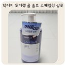 (주)솔트랩 | 닥터지 두피랩 쿨 솔트 스케일링 샴푸 예민한 임산부 두피 솔직 후기