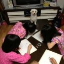 몽몽이# 이미지