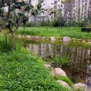 은여울공원 이미지