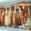 통영오아시스 이미지