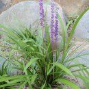 예술관길 이미지