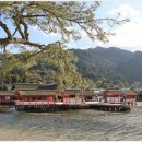 섬이자카야 이미지