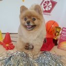 나보다 예쁘개 이미지