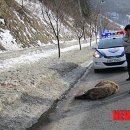 태백공업사 이미지