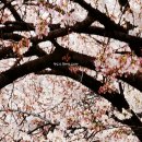 한일아파트정류장(우측) 이미지