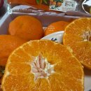 태현농장 이미지