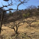 수피아민박 이미지