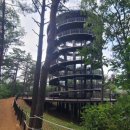 금광호수 이미지