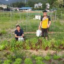 영석농장 이미지