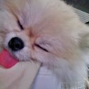 루트231 유치원 & 호텔 이미지