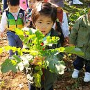 윤서농장 이미지