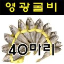 [초특가판매] 영광굴비 20마리(공짜로 더 드림!)총40마리 [무료배송] 이미지