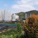 부활자동차 이미지