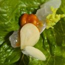 남성길 | 아산 맛집!! [ 신창회수산] 광어회 포장 후기! 역시 또 찾게 되는 이유