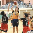 남면 체육관 이미지