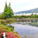 연지공원(타고가야) 이미지