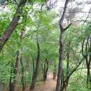 산책길