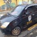 쥬니애견 이미지