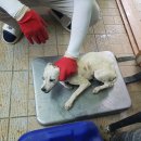 이산면보건지소 이미지