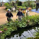 (자연탐구, 신체운동·건강 영역)[현장학습]해안과원에서 베고니아 묘종 심기 🌱🌸 이미지