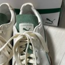 딥포레스트 이미지