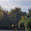 광교갤럭시공인중개사사무소 이미지