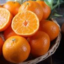 퀸스유의원 이미지