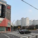 조마루뼈다귀삼화지구점 이미지