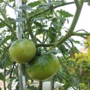 무심농장 이미지