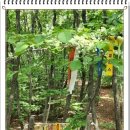 신영당 - 군포시 산본천로 198-1 | 신영당