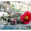 (주)정발산 이미지