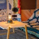 Tree Pet(트리펫) 이미지