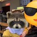 도봉 음식물중간처리장 | 헬로애니멀, 아기와 함께 가기 좋은 서울 도봉 실내동물원 솔직후기