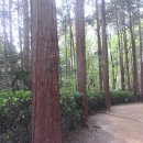 수암약수터 이미지