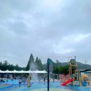 신정호야외수영장 이미지